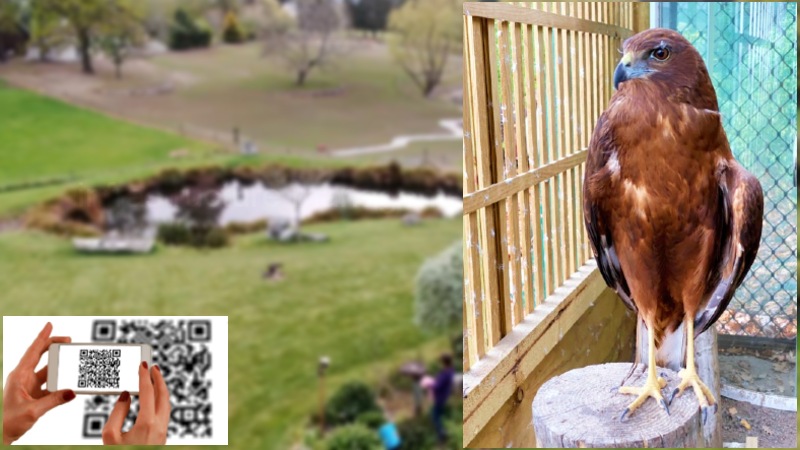 infrastructure management using technology infrastructure management using technology